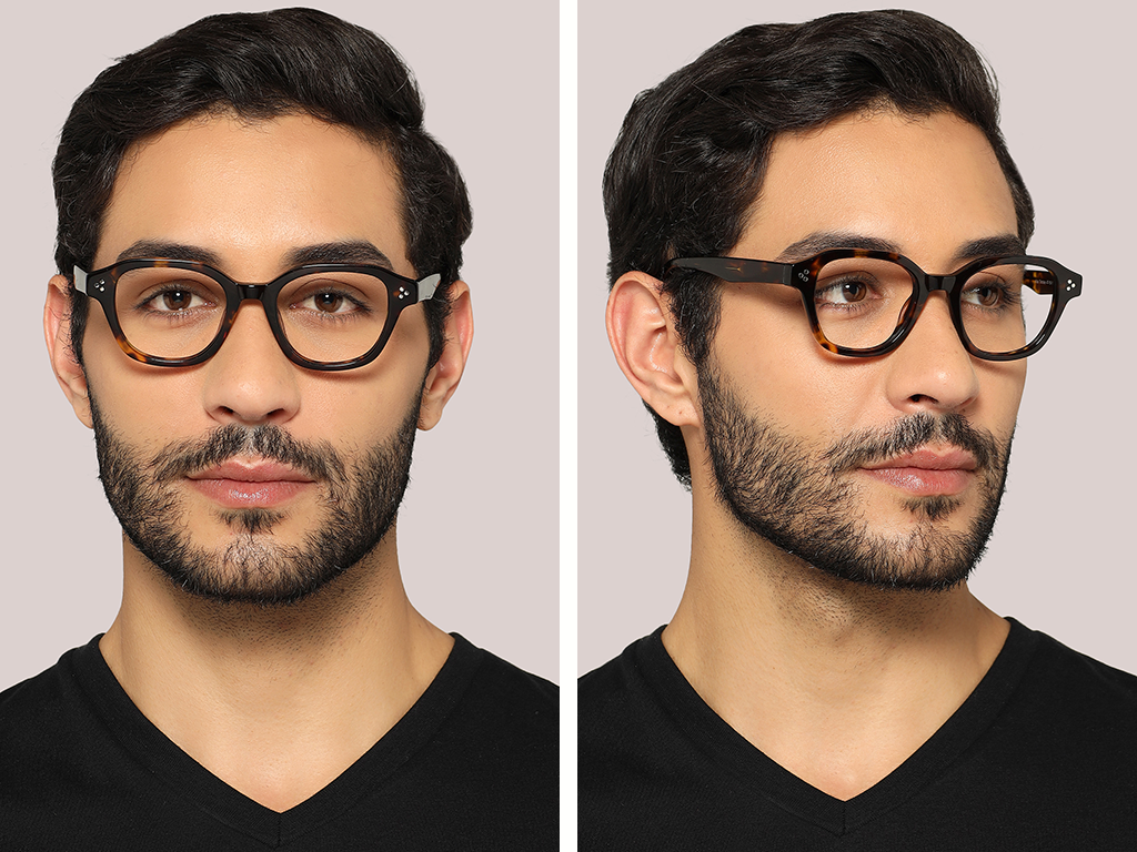 Feel Good Collection Atlas Tortoise 47