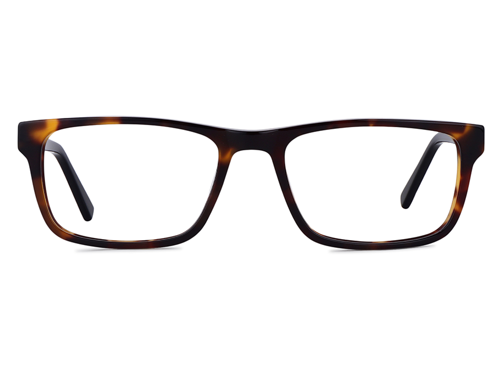 Feel Good Collection Bronte Black Tortoise 54