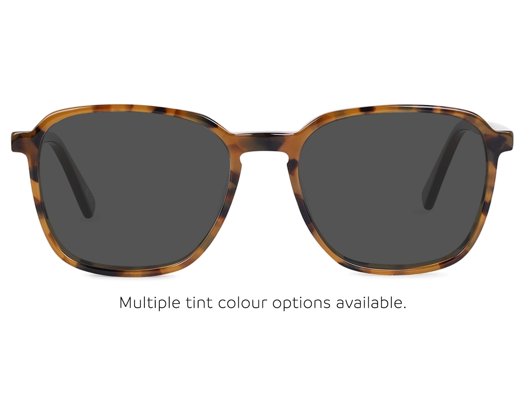 Feel Good Collection Echo 51 Tortoise