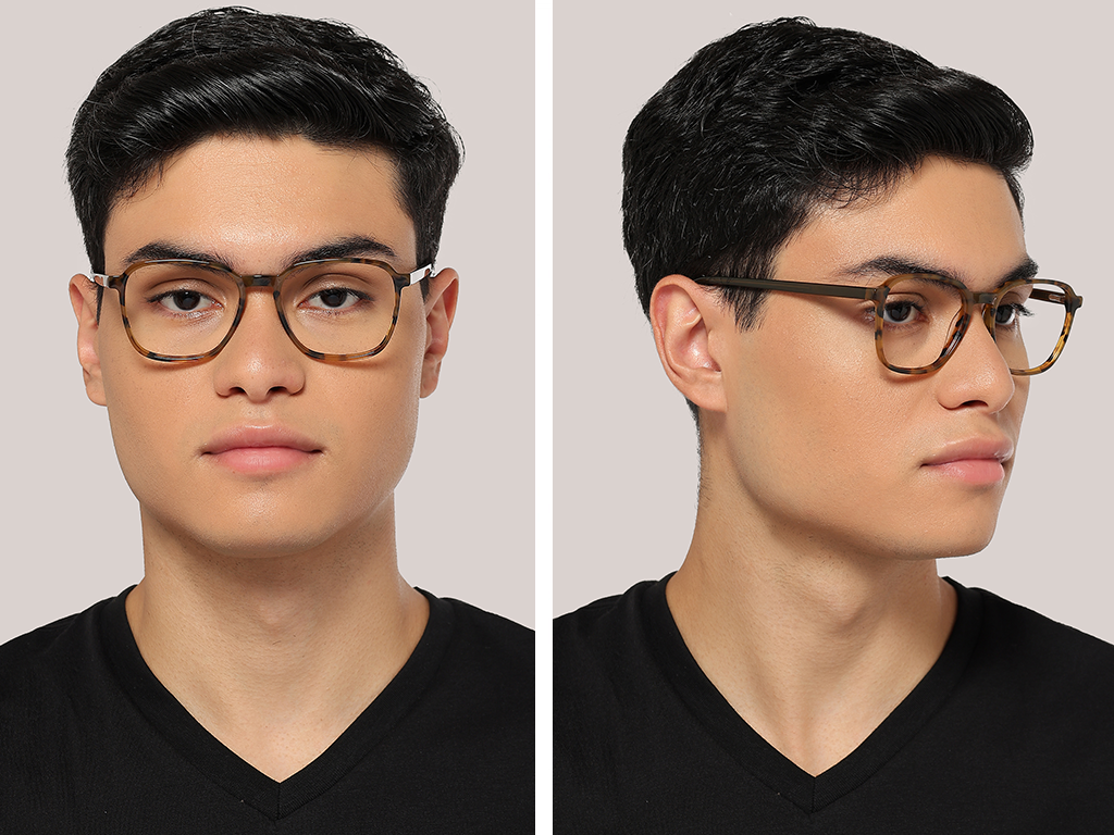 Feel Good Collection Echo 51 Tortoise