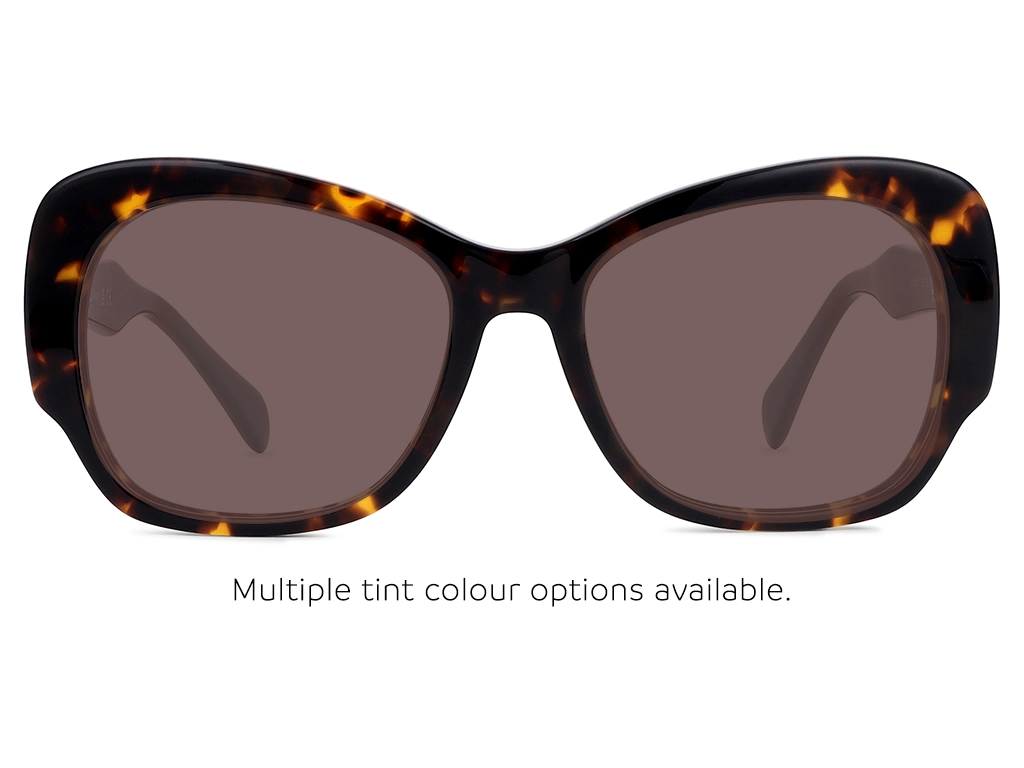 Feel Good Collection Indie 11 Tortoise 55