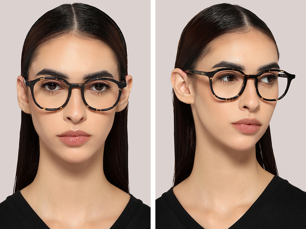 Feel Good Collection Marvel Tortoise 48