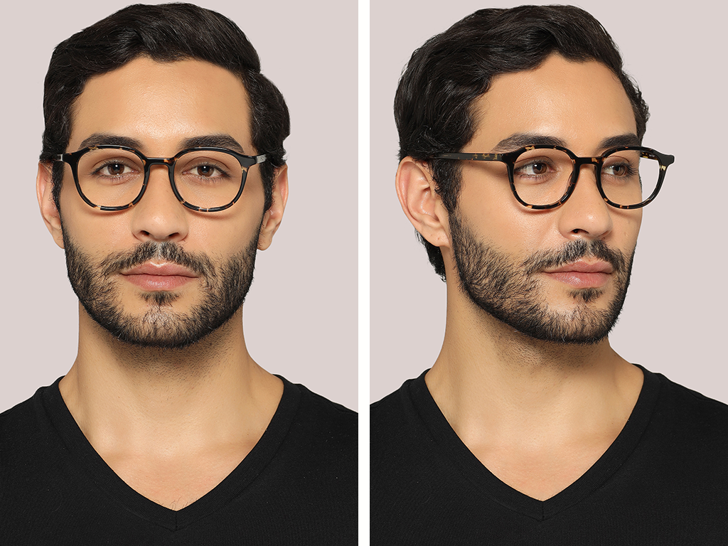 Feel Good Collection Marvel Tortoise 48