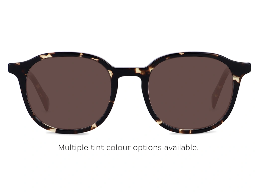 Feel Good Collection Marvel Tortoise 48