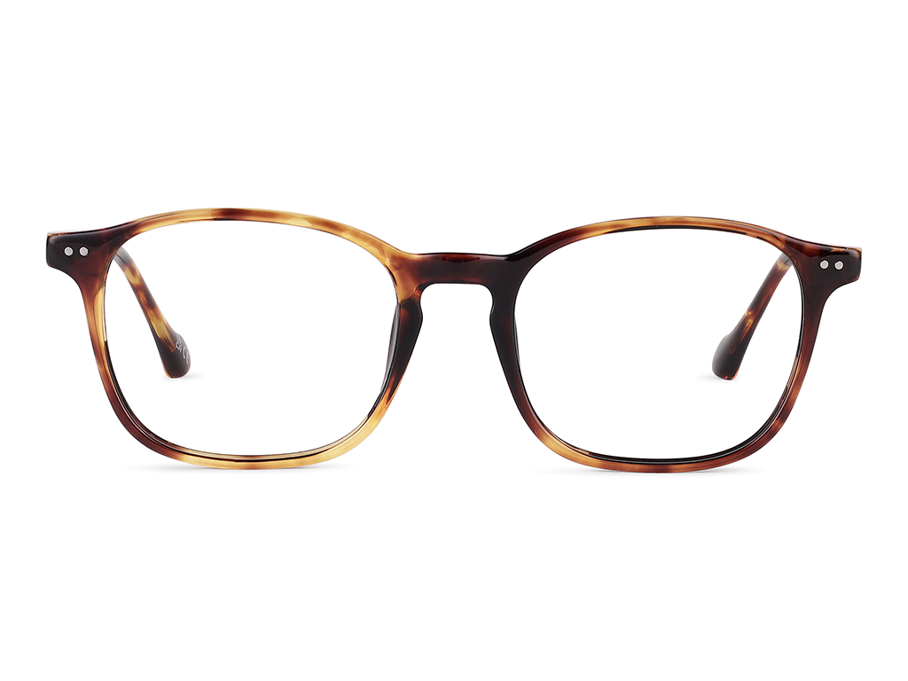Feel Good Collection Norris 49 Tortoise