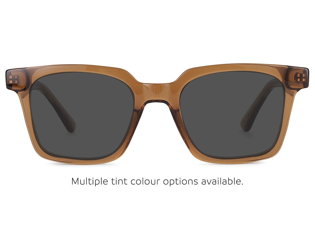 Feel Good Collection Scottie 50 Coffee