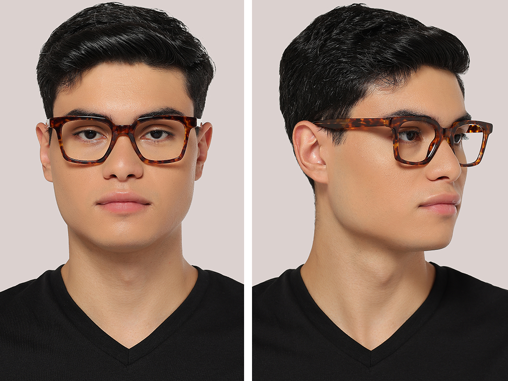 Feel Good Collection Scottie 50 Tortoise