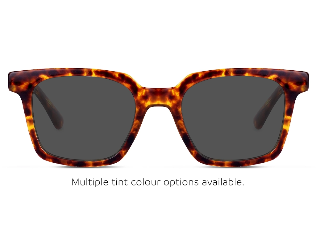 Feel Good Collection Scottie 50 Tortoise