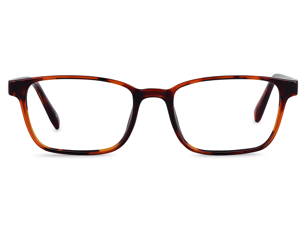 Feel Good Collection Spain 53 Tortoise