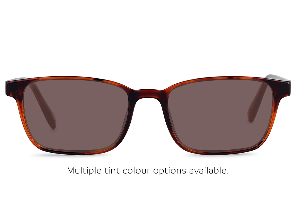 Feel Good Collection Spain 53 Tortoise