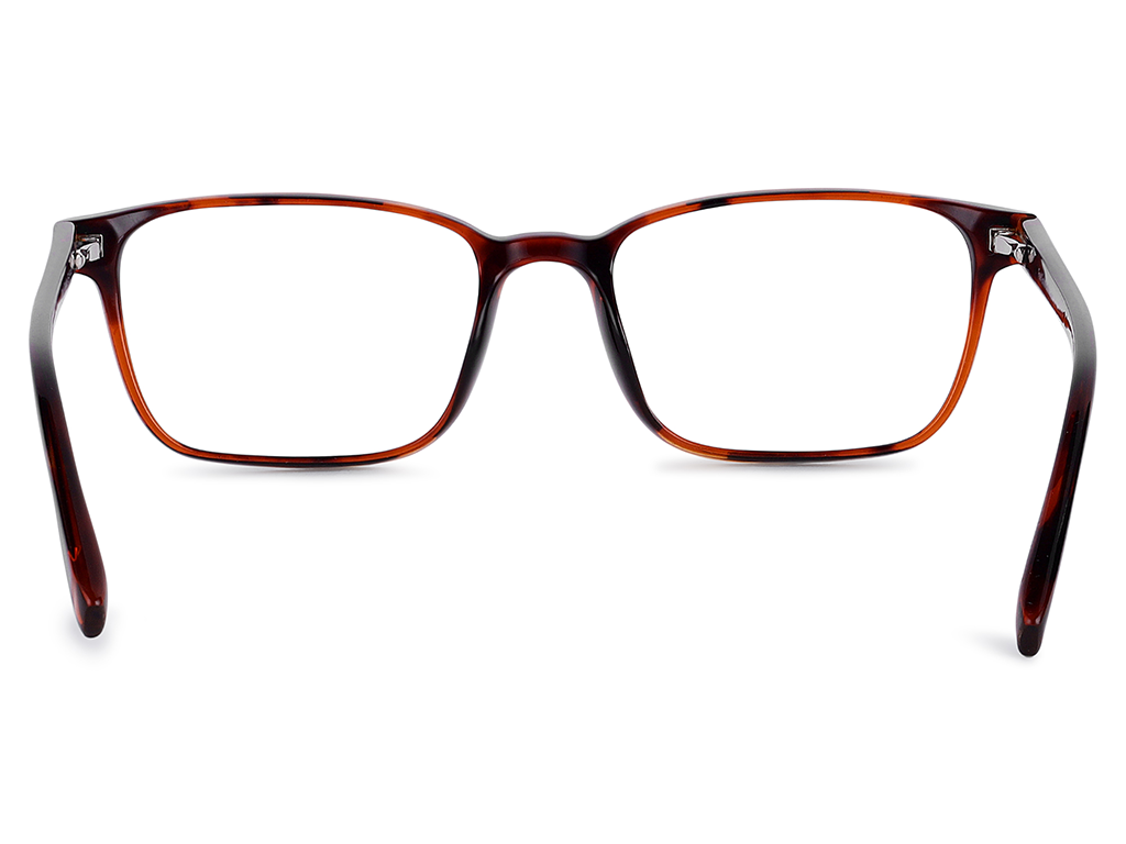 Feel Good Collection Spain 53 Tortoise