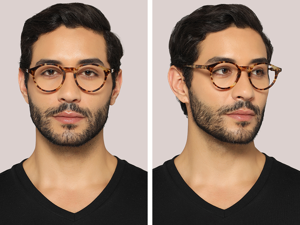 Feel Good Collection Sunday Tortoise 49