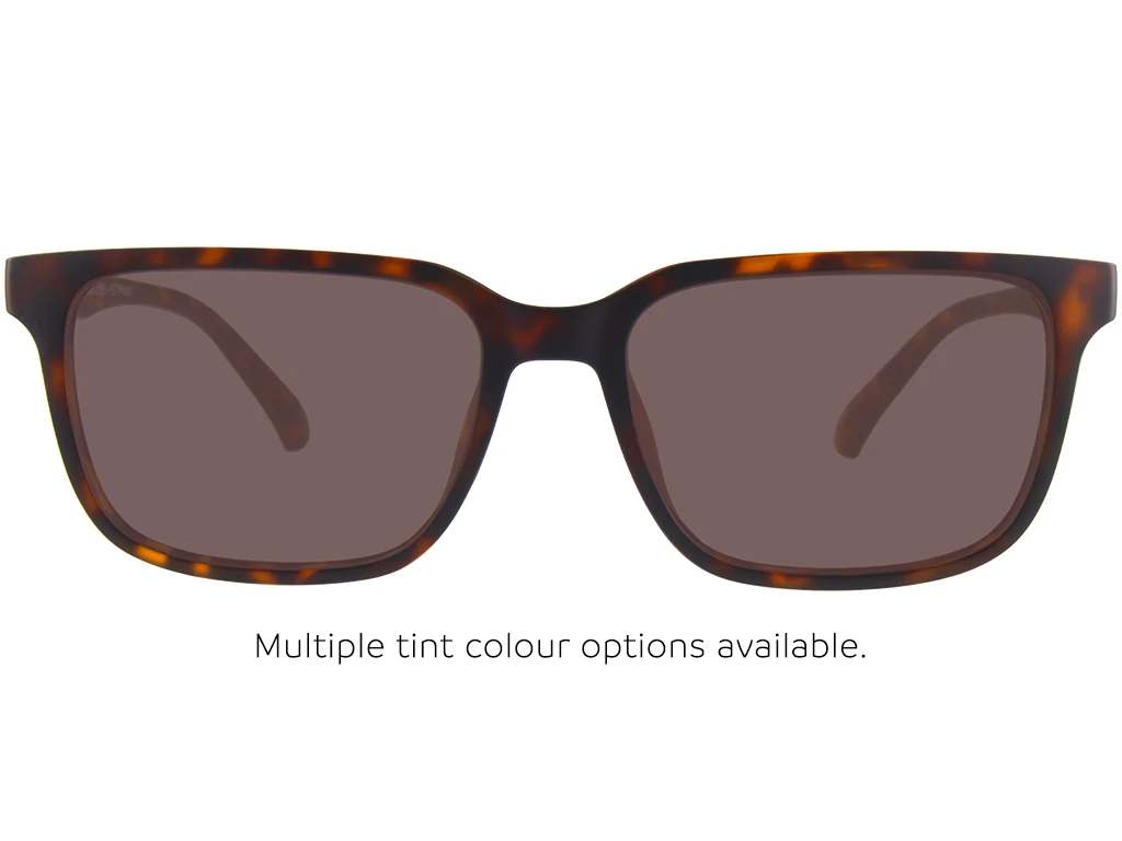 Gant GA50042 052 55 Dark Havana