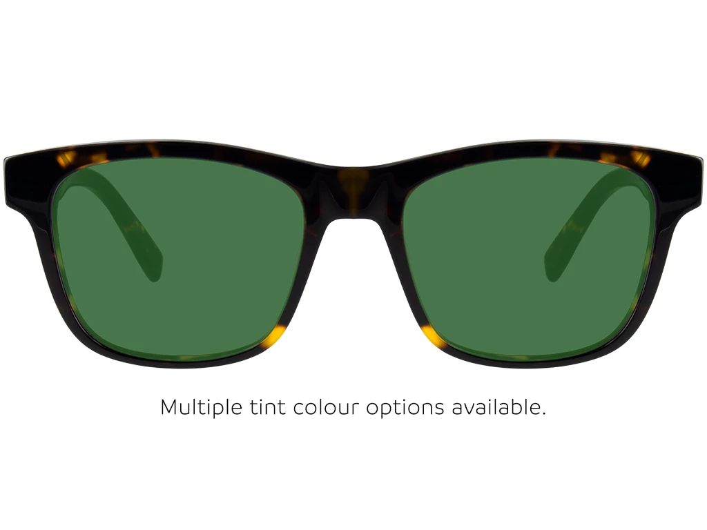 Lacoste L2933 230 54 Dark Tortoise