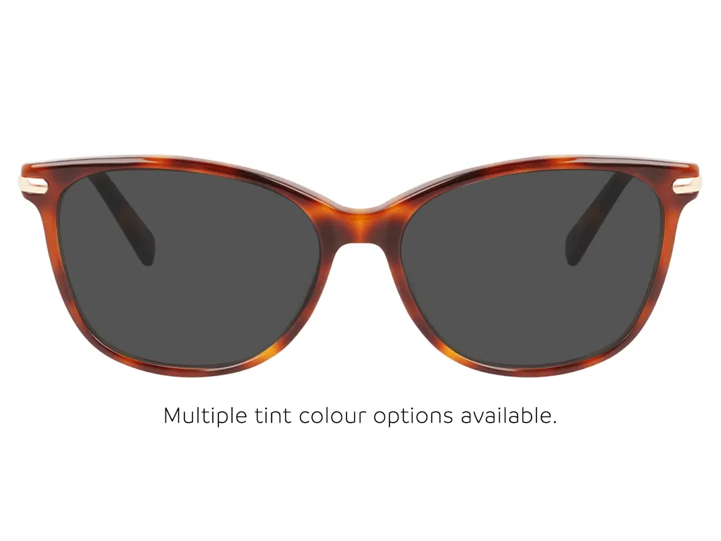 Longchamp LO2691 230 Havana 51