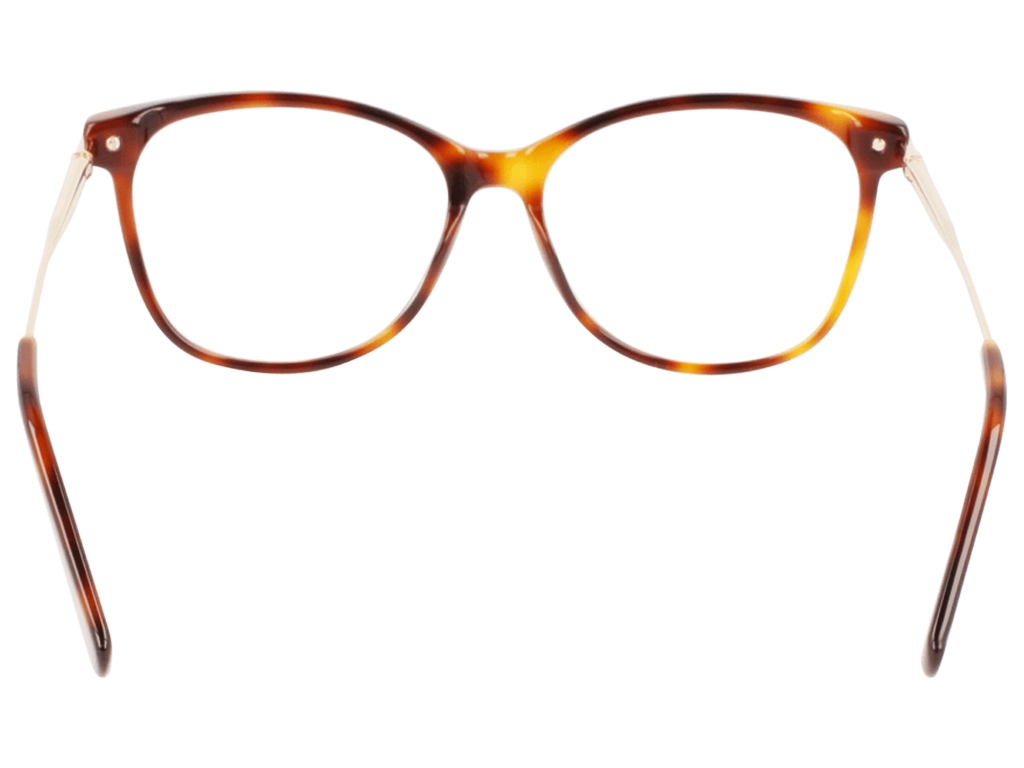 Longchamp LO2691 230 Havana 51