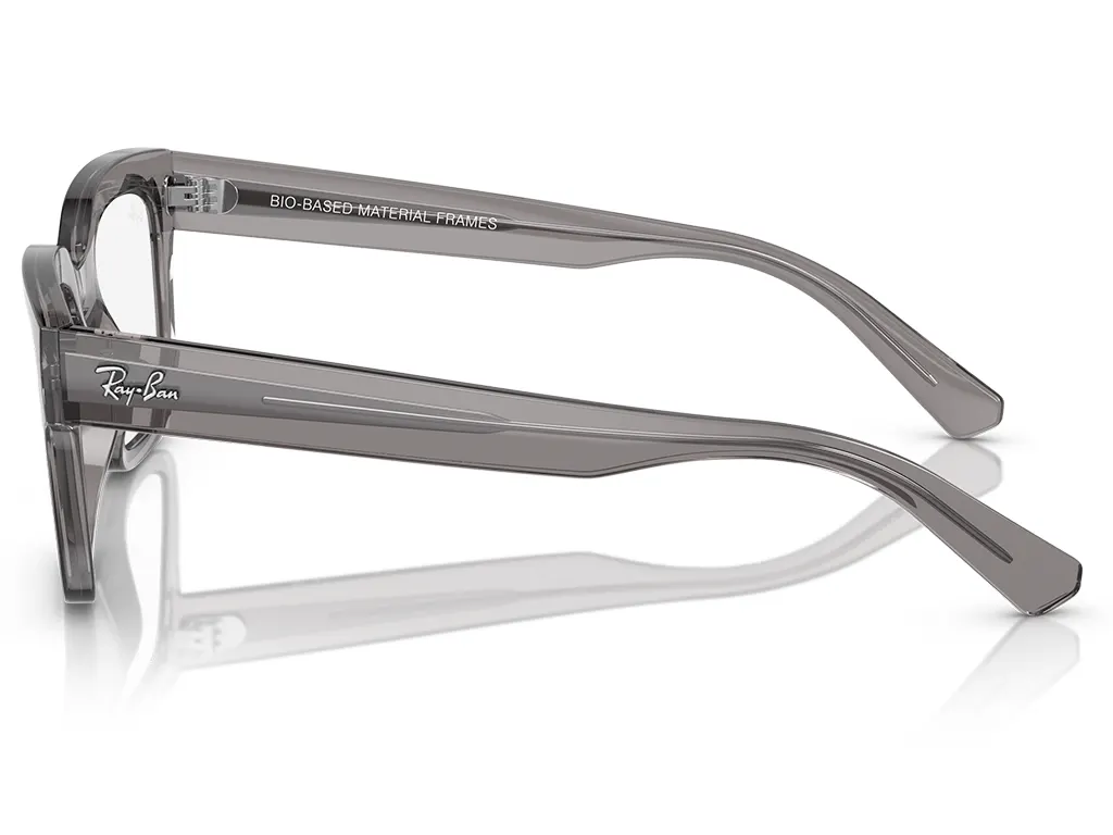 Ray-Ban Chad RX7217 8263 54 Transparent Grey