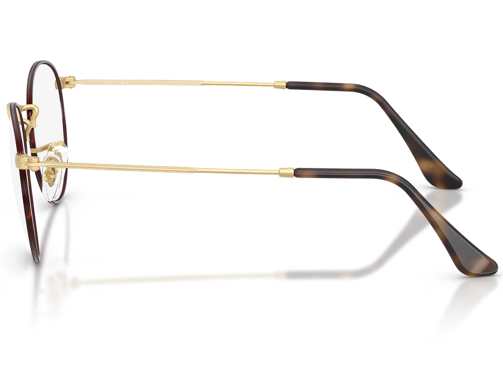 Ray-Ban RX3447V 3188 50 Matte Havana on Arista Gold
