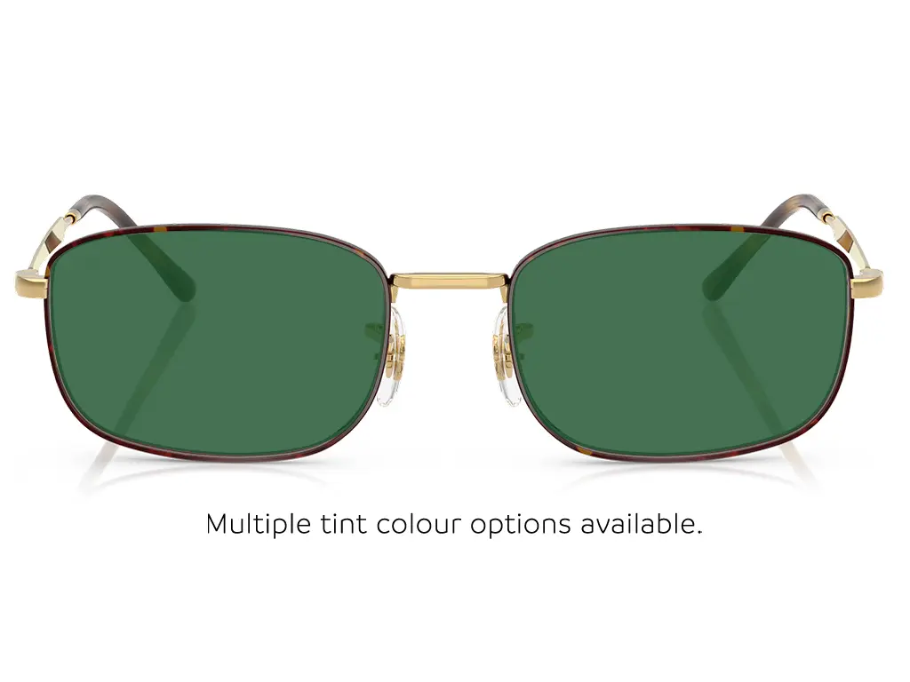 Ray-Ban RX6533 3177 54 Havana on Arista Gold