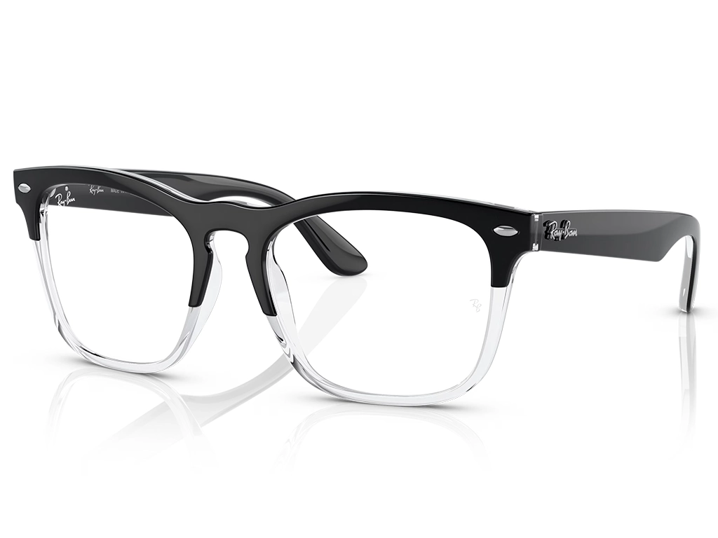 Ray-Ban Steve RX4487V 8193 54 Black on Transparent