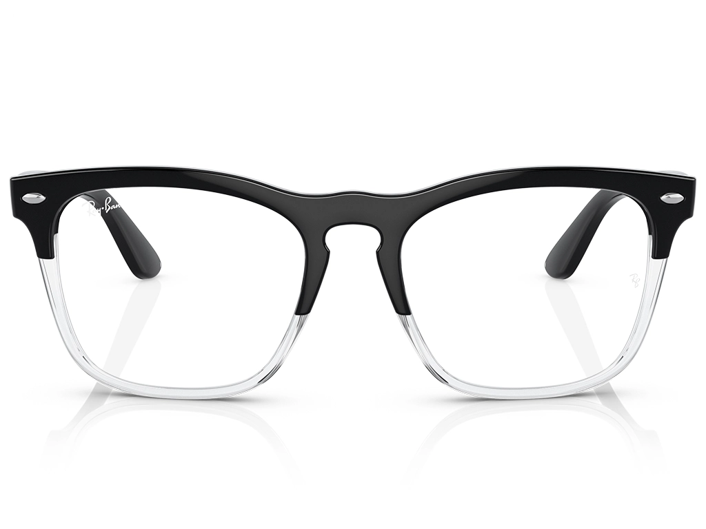 Ray-Ban Steve RX4487V 8193 54 Black on Transparent