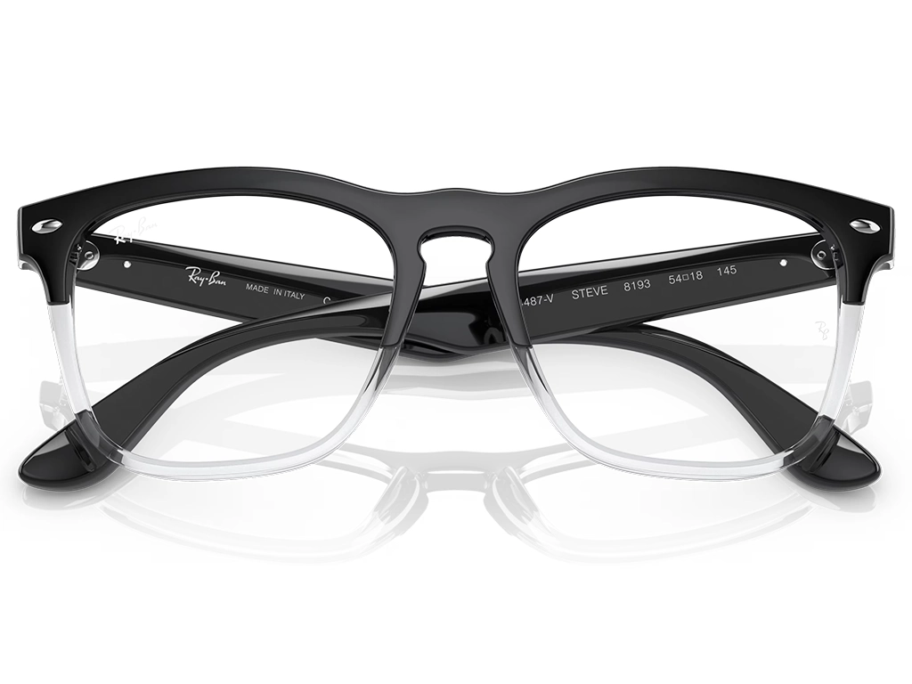 Ray-Ban Steve RX4487V 8193 54 Black on Transparent