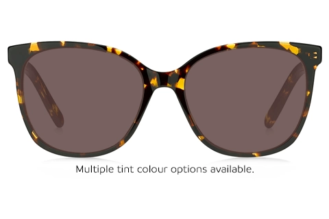 MARC 540 WR9 Brown Havana 53