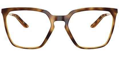 BMNG SQ OX8189 04 Polished Brown Tortoise 53