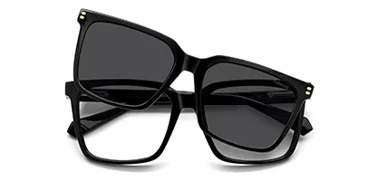 PLD D556/C 807 Black 54 Polarised
