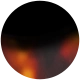 Black Tortoise