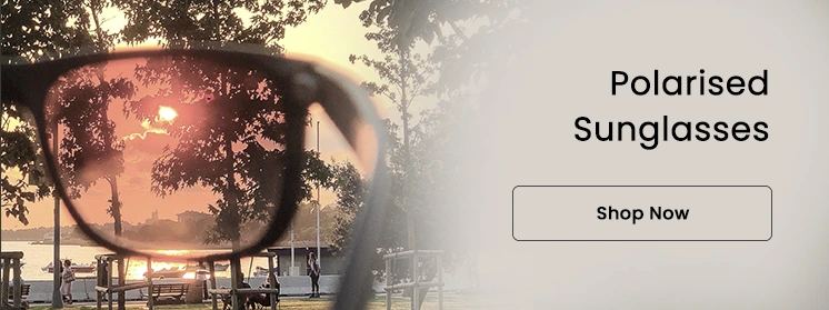 Polarised Sunglasses