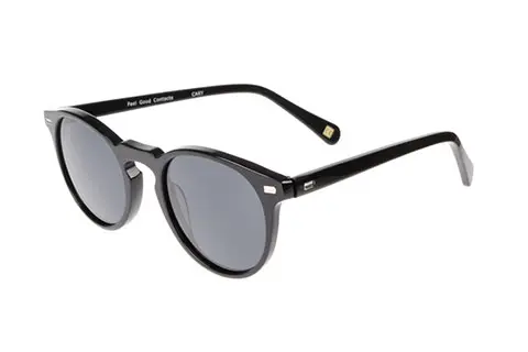 Feel Good Collection Cary C01 Smoke Polarised