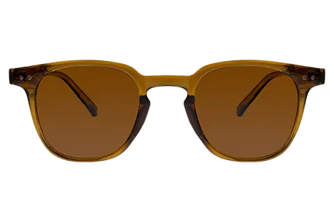 Feel Good Collection Colby Transparent Brown Polarised