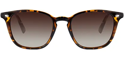 Feel Good Collection Elijah Tortoise Polarised