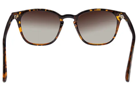 Feel Good Collection Elijah Tortoise Polarised