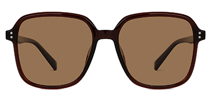 Hollis 11 Coffee 55 Polarised