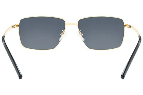 Feel Good Collection Isaac Gold Polarised