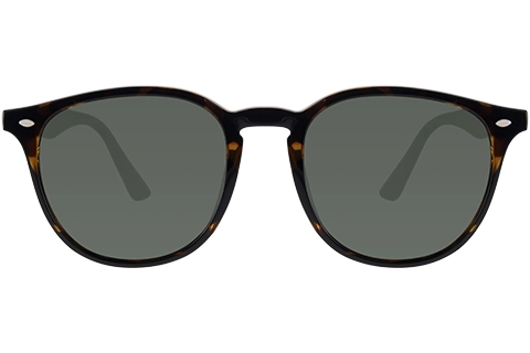 Feel Good Collection Phoenix 53 Tortoise Polarised