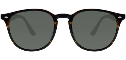  Phoenix 53 Tortoise Polarised New