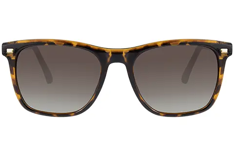 Feel Good Collection Sasha Tortoise Polarised