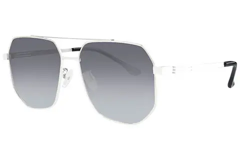 Feel Good Collection Seb C1 Silver Polarised