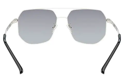 Feel Good Collection Seb C1 Silver Polarised