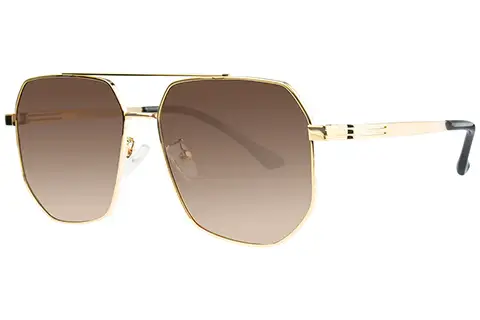 Feel Good Collection Seb Gold Brown Polarised