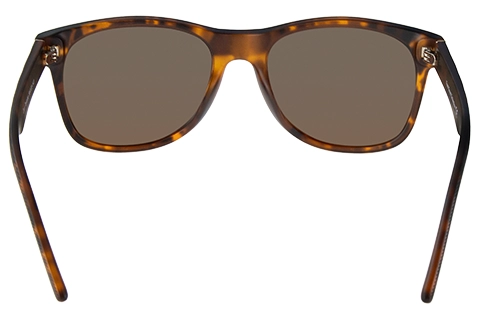 Feel Good Collection Zuri Tortoise Polarised