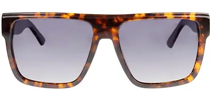 Feel Good Collection Hayden C2 Tortoise Polarised