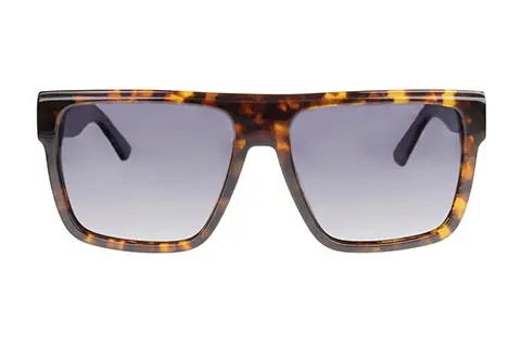 Feel Good Collection Hayden C2 Tortoise Polarised