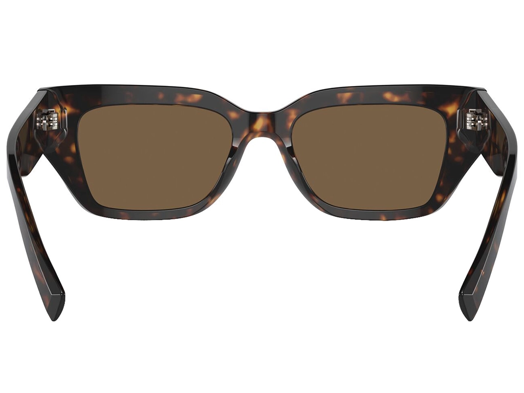 Dolce & Gabbana DG4462 502/73 Havana