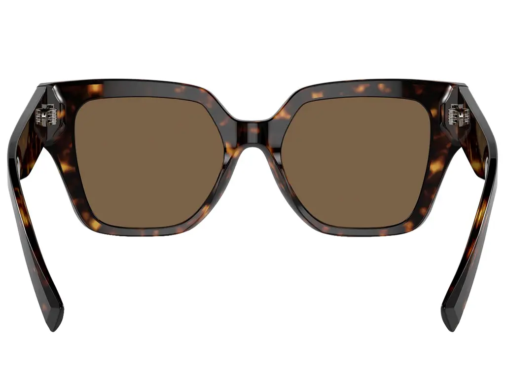 Dolce & Gabbana DG4471 502/73 Havana