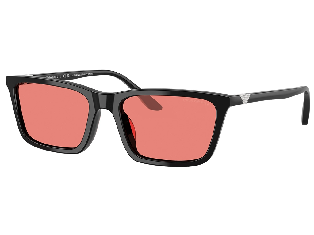 Emporio Armani EA4239U 501784 Black 55