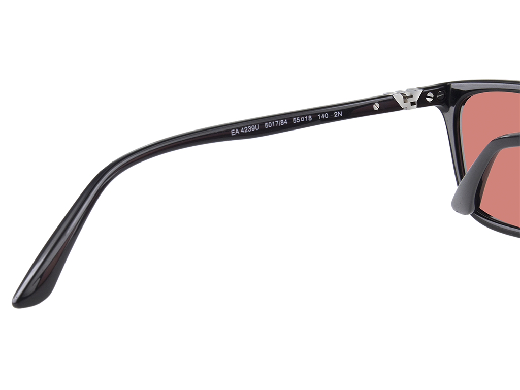 Emporio Armani EA4239U 501784 Black 55